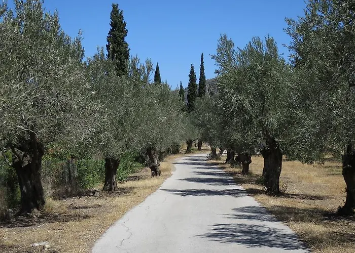 Semesterbostad Trizinia View *